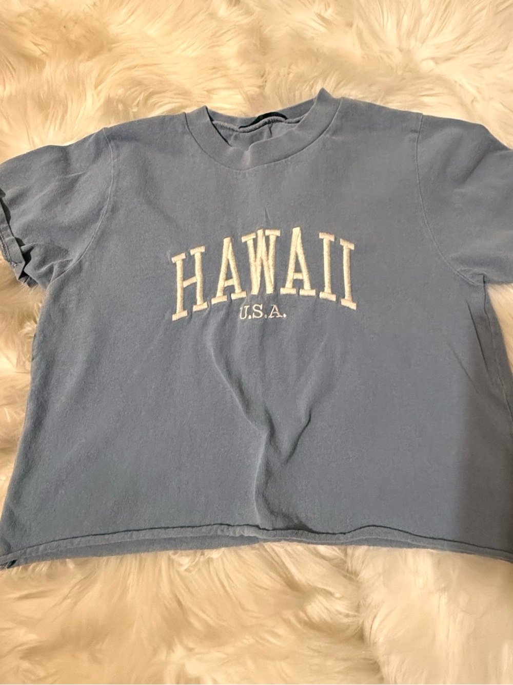 Brandy Melville Light Blue 'HAWAII U.S.A.' Crop Tee
